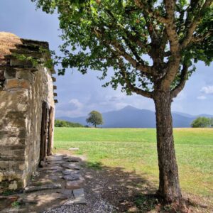 CAPANNE CELTICHE di Fiumalbo e Pievepelago: un anello mancante di 2000 anni.